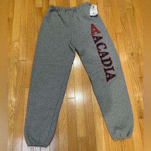 Grey Acadia Sweatpants, size M